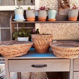 Woven Vintage Boho Baskets Plants